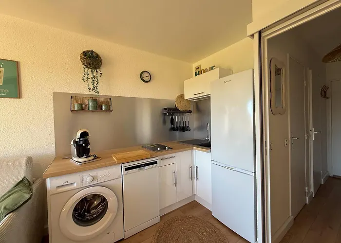 Vue Degagee Et Climatise Apartment *