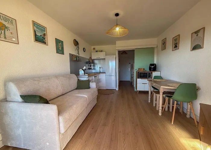 Vue Degagee Et Climatise Le Lavandou